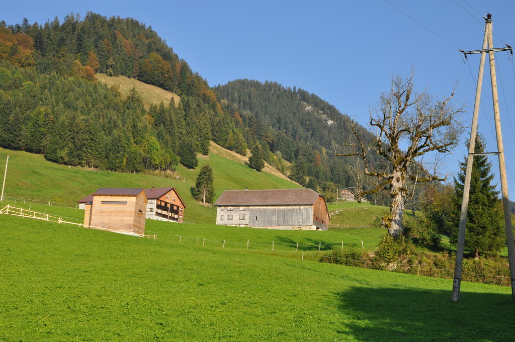 Gaestehaus Graf Bezau Rom bilde