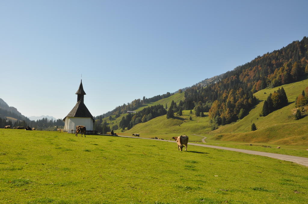 Gaestehaus Graf Bezau Rom bilde